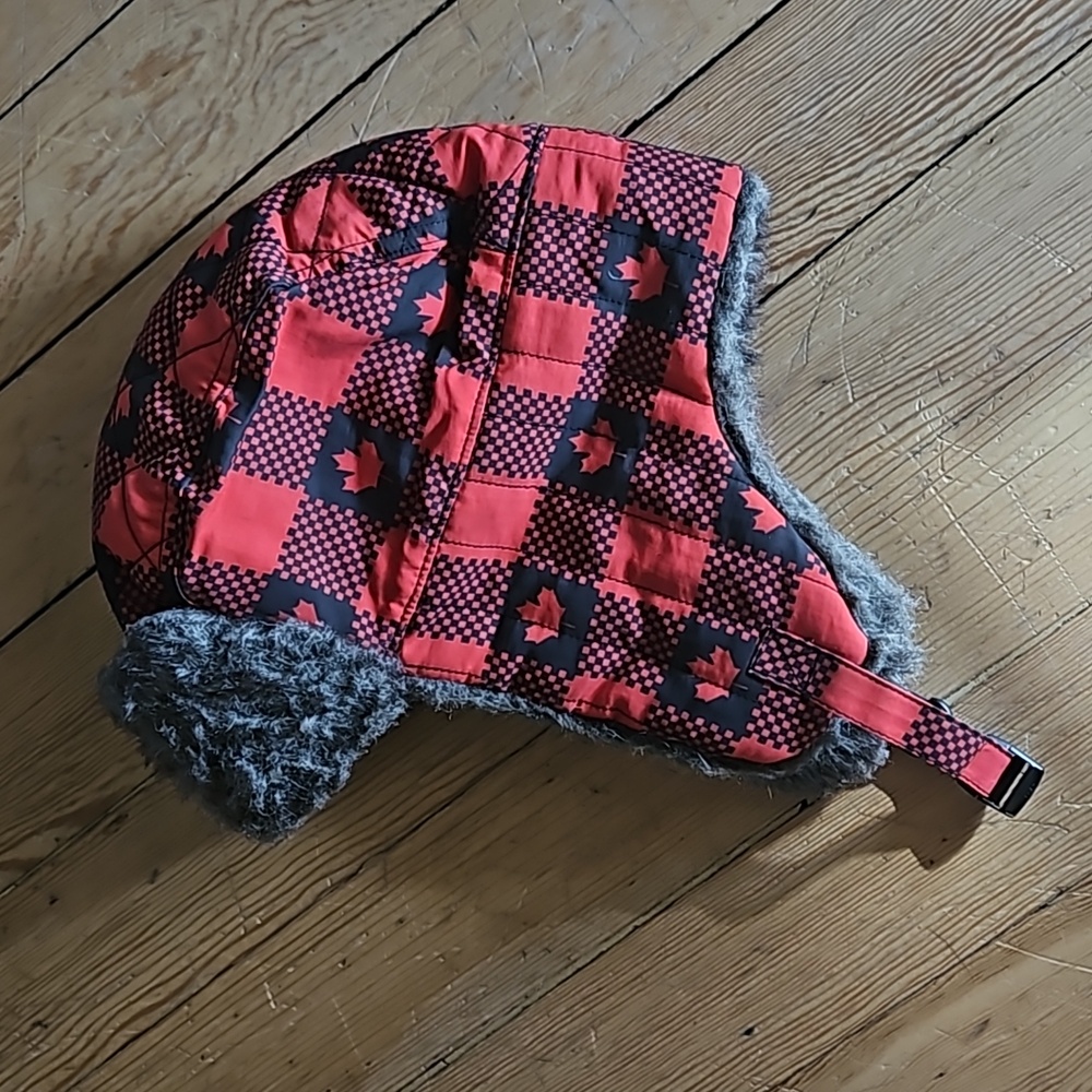Trapper hat